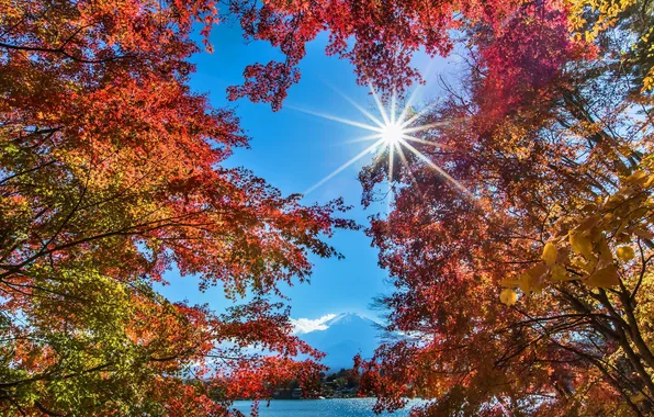 Picture autumn, the sky, clouds, mountains, lake, the sun, maples