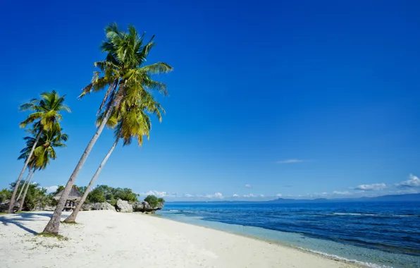 Sand, sea, beach, the sky, the sun, tropics, stones, palm trees