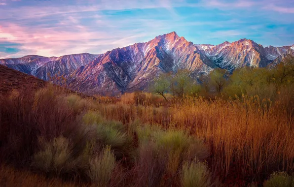 Trees, landscape, mountains, kamyshi