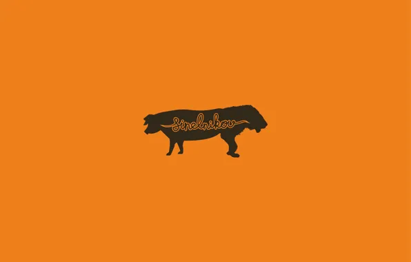 Leo, pig, signature, Sinelnikov