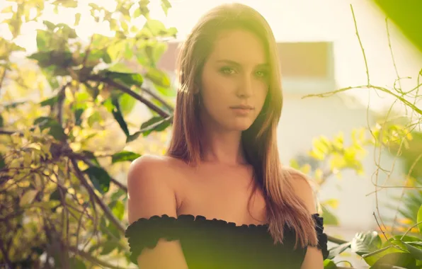 Look, the sun, branches, pose, model, portrait, makeup, dress