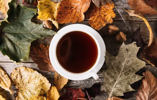 Picture autumn, leaves, tea, drink