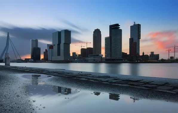 Zuid-Holland, Rotterdam, New Work