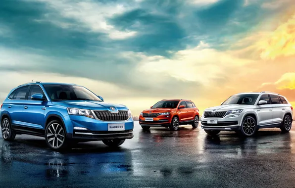 2018, Skoda, Kodiaq, Karoq, Kamiq, crossover