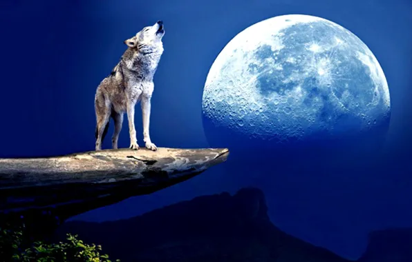 Picture moon, fantasy, art, wolf