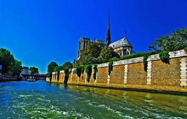 Trees, bridge, river, France, Paris, hay, Notre Dame Cathedral