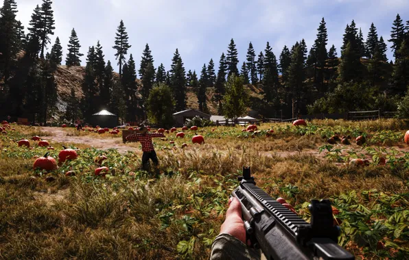 Picture weapons, the game, Far Cry 5
