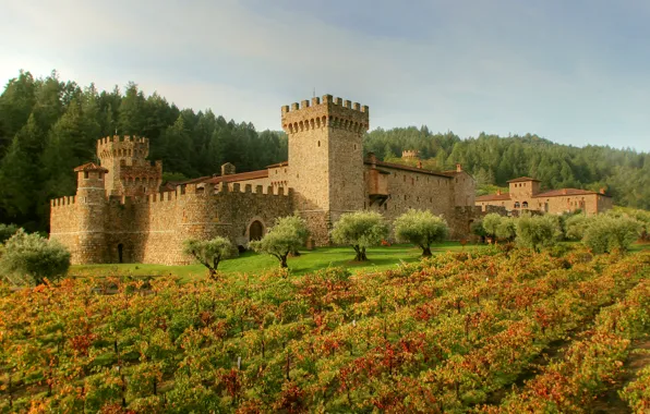 Picture field, forest, grass, trees, castle, Italy, fortress, plantation