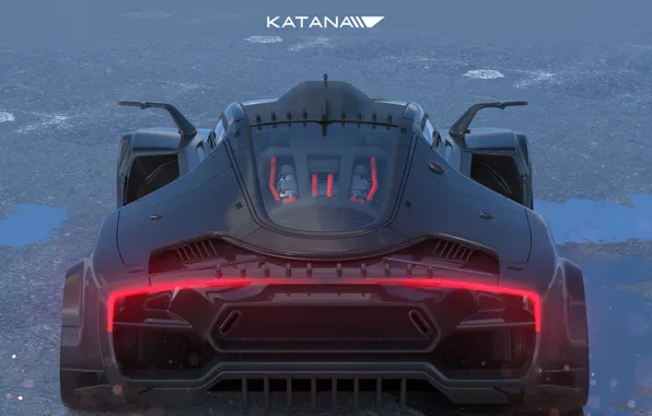 Car, back, Katana 1.1, back top