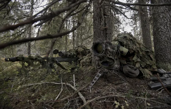 Forest, sniper, camouflage, rifle, partner