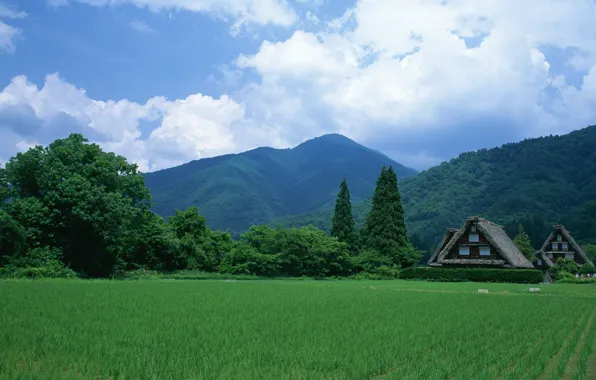 Field, Japan, Houses