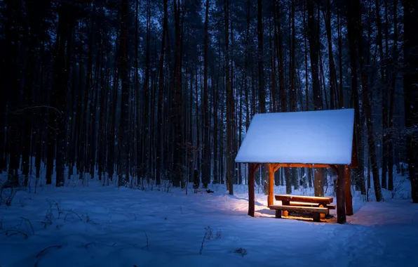 Picture winter, forest, light, snow, trees, bench, snowflakes, traces