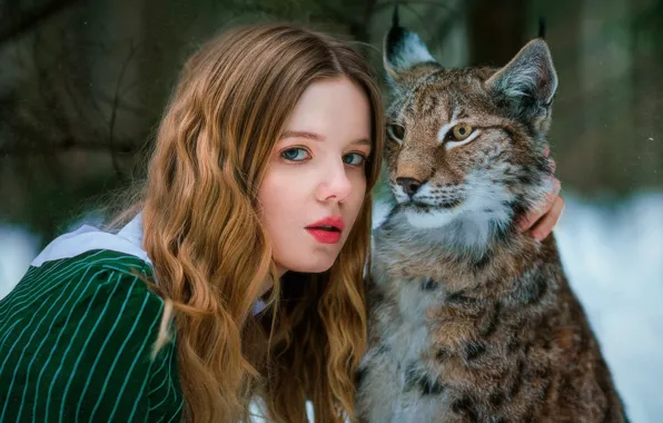 Look, girl, face, lynx, friends, wild cat, long hair, Alexandra Savenkova