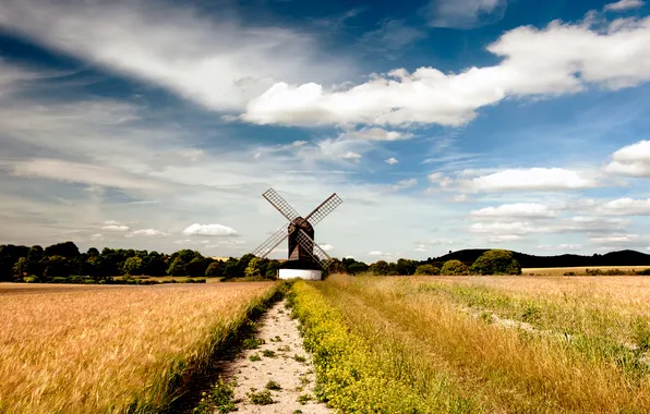Field, summer, the sky, flowers, hills, spikelets, path, windmill