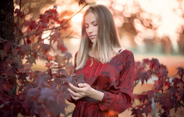 Picture autumn, girl, nature, Natalia