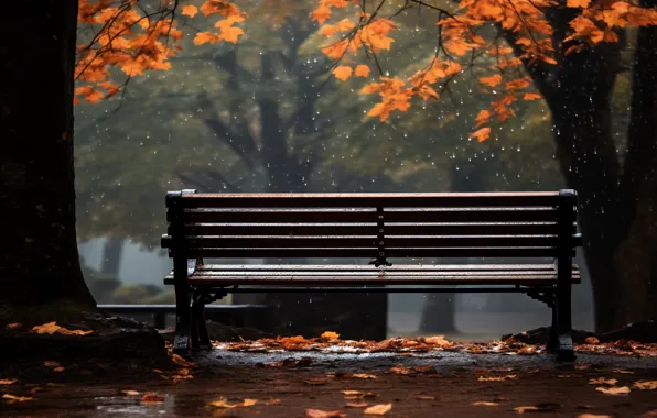 Autumn, leaves, bench, Park, trees, park, autumn, leaves