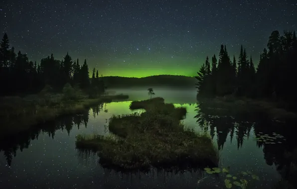 Picture the sky, stars, trees, mountains, night, fog, lake, reflection