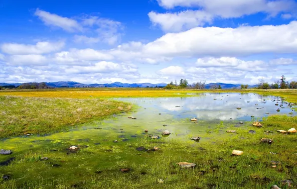Summer, the sky, grass, clouds, mountains, nature, glade, swamp