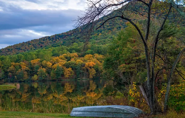 Autumn, forest, trees, mountains, lake, shore, boat, USA