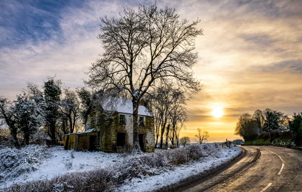 Picture road, sunset, tree, the evening, old house, Northern Ireland