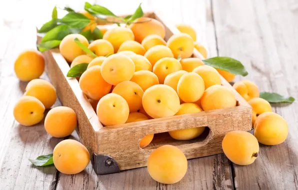 Light, box, fruit, apricots, apricots