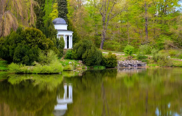 Trees, Park, reflection, Park Wilhelmshöhe Castle