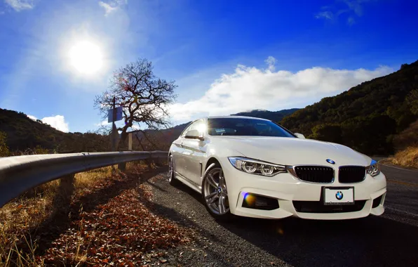 Picture BMW, white, front, 428i