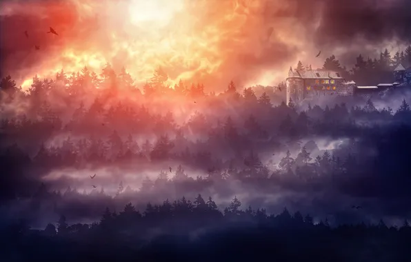 Fog, castle, bird, treatment, Darkwood Castle