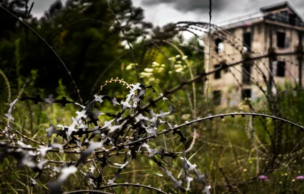 House, prison, barbed wire