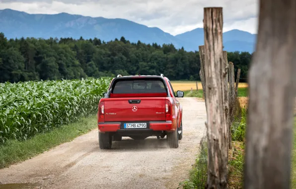 Red, the fence, Mercedes-Benz, back, pickup, 2018, X-Class