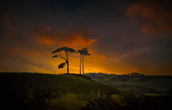 The sky, clouds, trees, sunset, clouds, hills