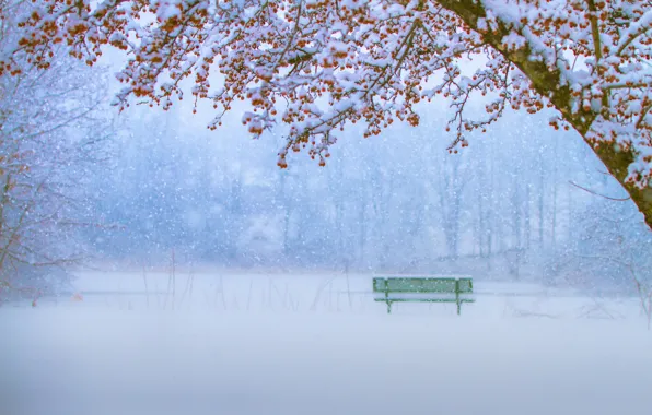 Winter, snow, trees, bench, Park, snowfall