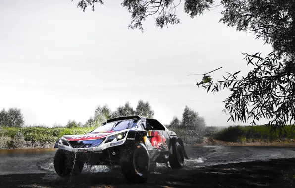 Sport, Speed, Helicopter, Race, Dirt, Peugeot, Lights, Red Bull