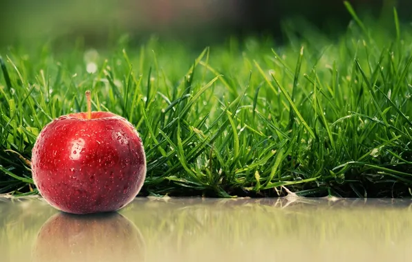 Picture Apple, red, Grass, Shadow