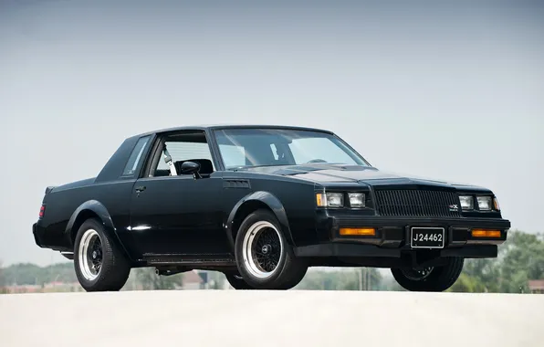 Black, the front, Grand National, buick, Buick, gnx, Grand neyshnl, cool car