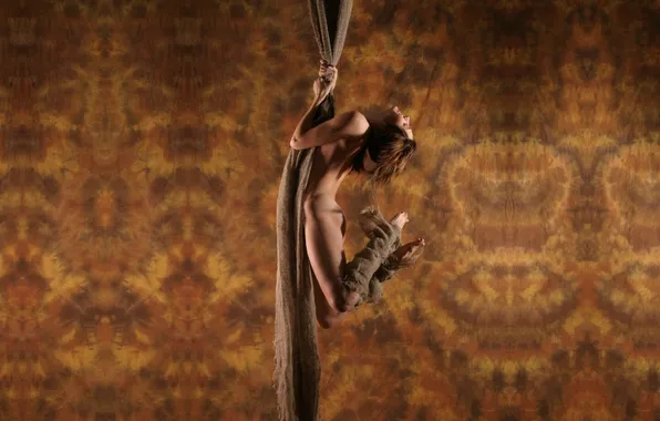 Background, texture, rope, fabric, brown hair, suspended, CONDITION