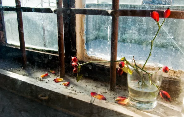Picture flowers, window, Bank