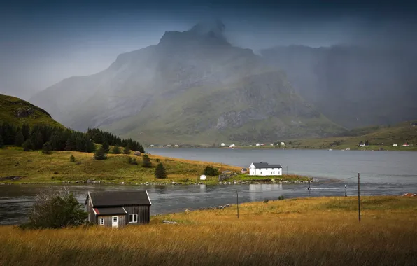 Trees, mountains, fog, rocks, Norway, Bay, houses, Lofoten