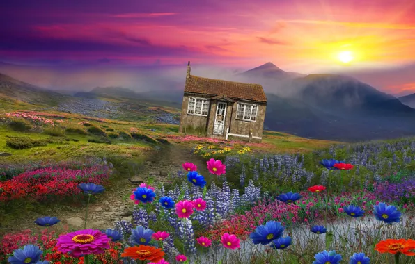 Picture the sun, landscape, flowers, mountains, house