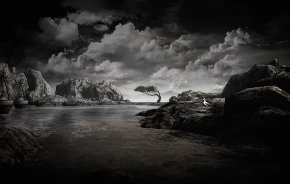Sea, the sky, clouds, landscape, birds, clouds, nature, stones