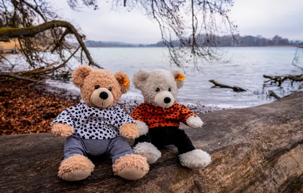Shore, toy, toys, bear, bears, bear, bear, log