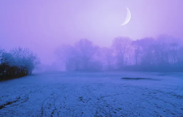 The sky, snow, trees, night, fog, the moon, glade, Winter
