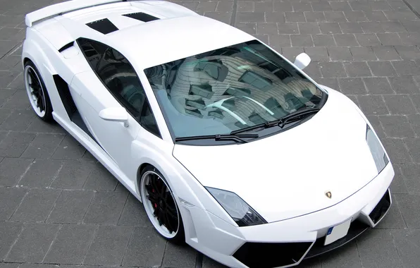 Picture white, tuning, supercar, spoiler, drives, lamborghini gallardo, Lamborghini, Gallardo