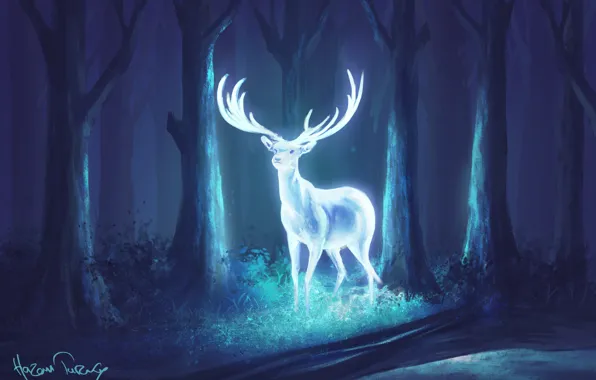 Picture forest, night, deer, fantasy, art, horns