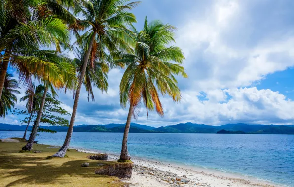 Sand, forest, clouds, mountains, stones, palm trees, coast, Philippines