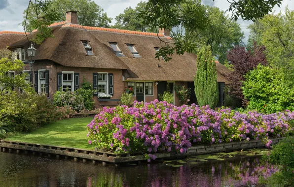 Picture design, house, channel, Netherlands, Holland, landscaping