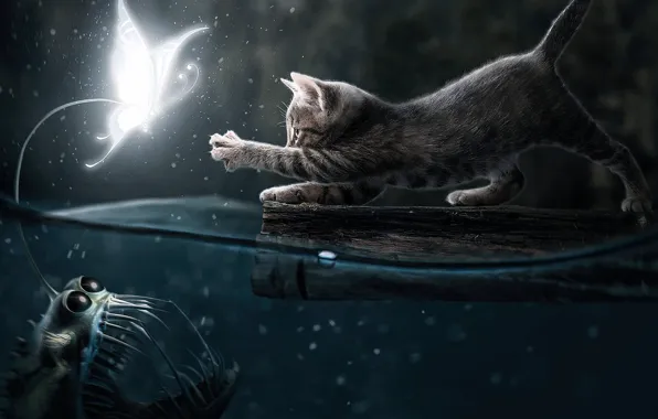 Water, Night, Cat, Fish, Two, Pussy, Hunting
