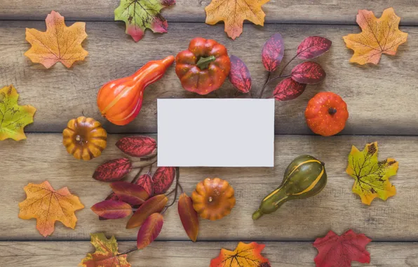 Autumn, leaves, background, Board, colorful, pumpkin, maple, wood