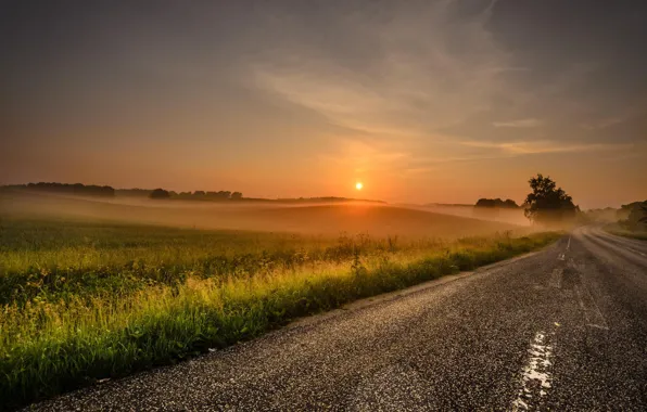 Road, the sun, landscape, nature, fog, dawn, morning