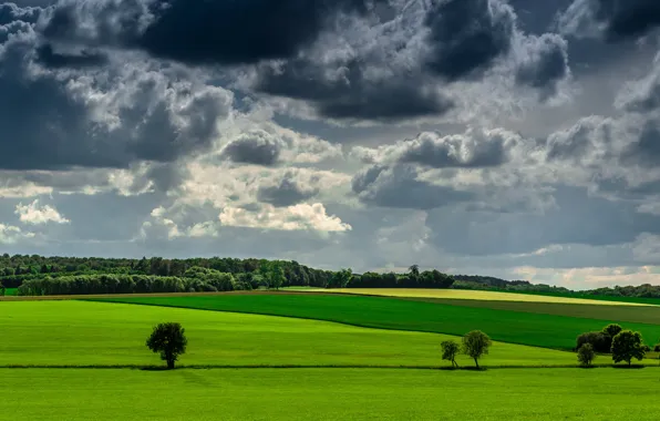 The sky, grass, clouds, trees, green, field, farm